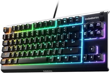 کیبورد گیمینگ SteelSeries Apex 3 TKL RGB